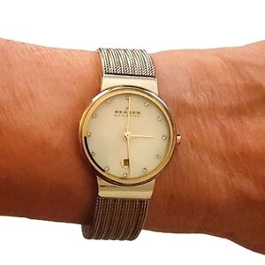 Skagen ladies two tone watch  excellent condition